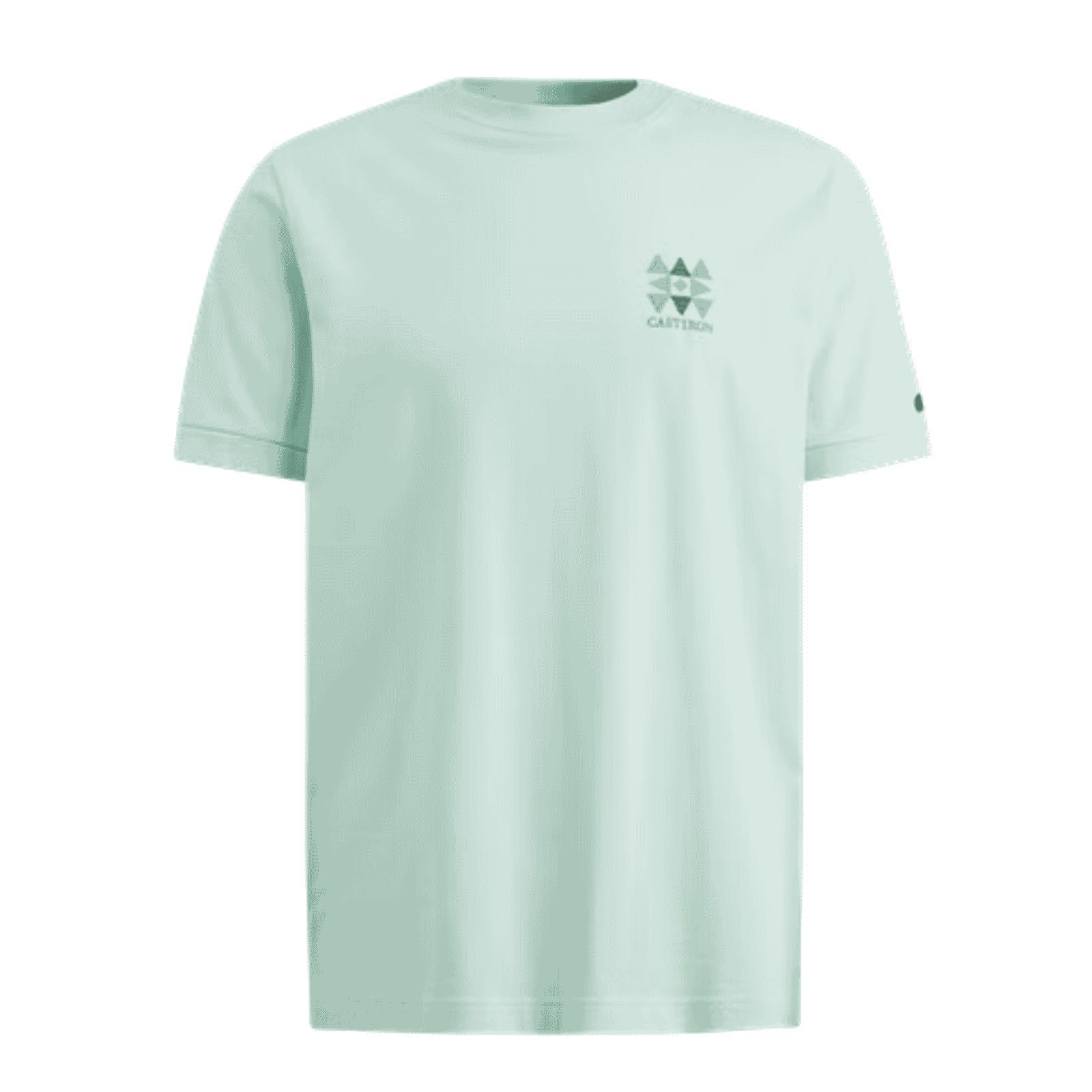 T shirt lichtblauw met backprint