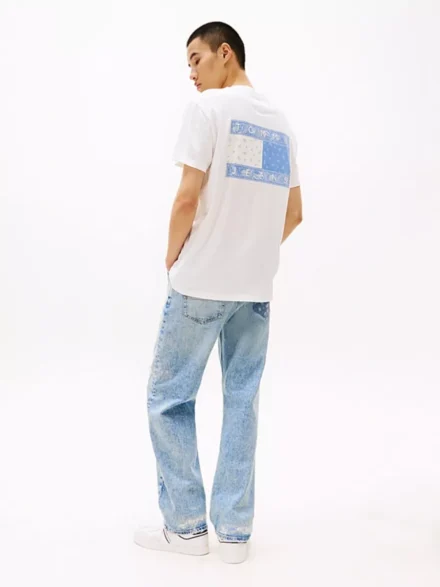 Tommy Hilfiger Tommy Hilfiger | T-shirts | Wit | DM0DM20774