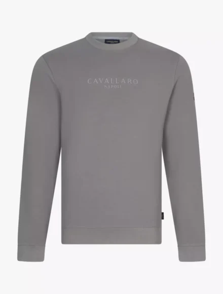 Cavallaro Cavallaro | Sweats | Grijs | Sanago R Neck Sweat