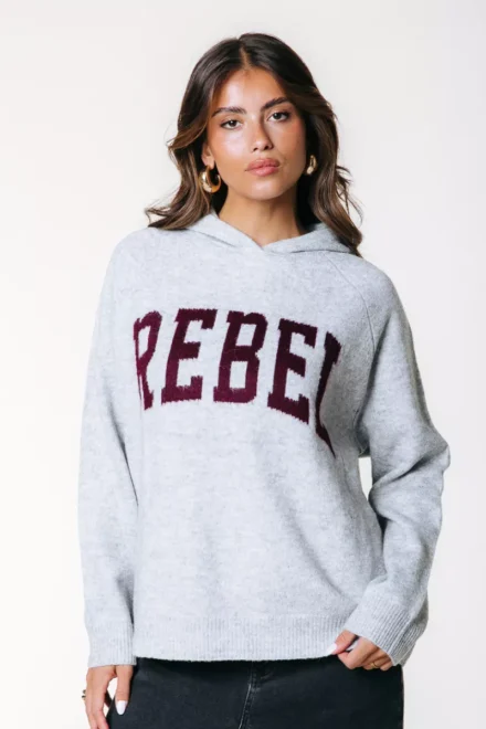 Colourful Rebel Colourful Rebel | Truien katoen | Grijs | Knit Hoodie Rebel