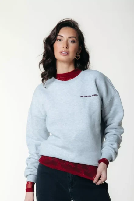 Colourful Rebel Colourful Rebel | Sweater | Grijs | CR Round flower