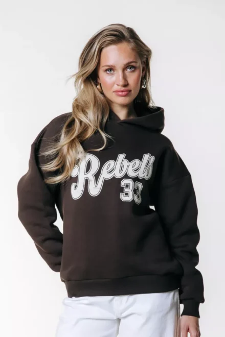 Colourful Rebel Colourful Rebel | Sweater | Bruin | Rebel 33 Clean Hoodie