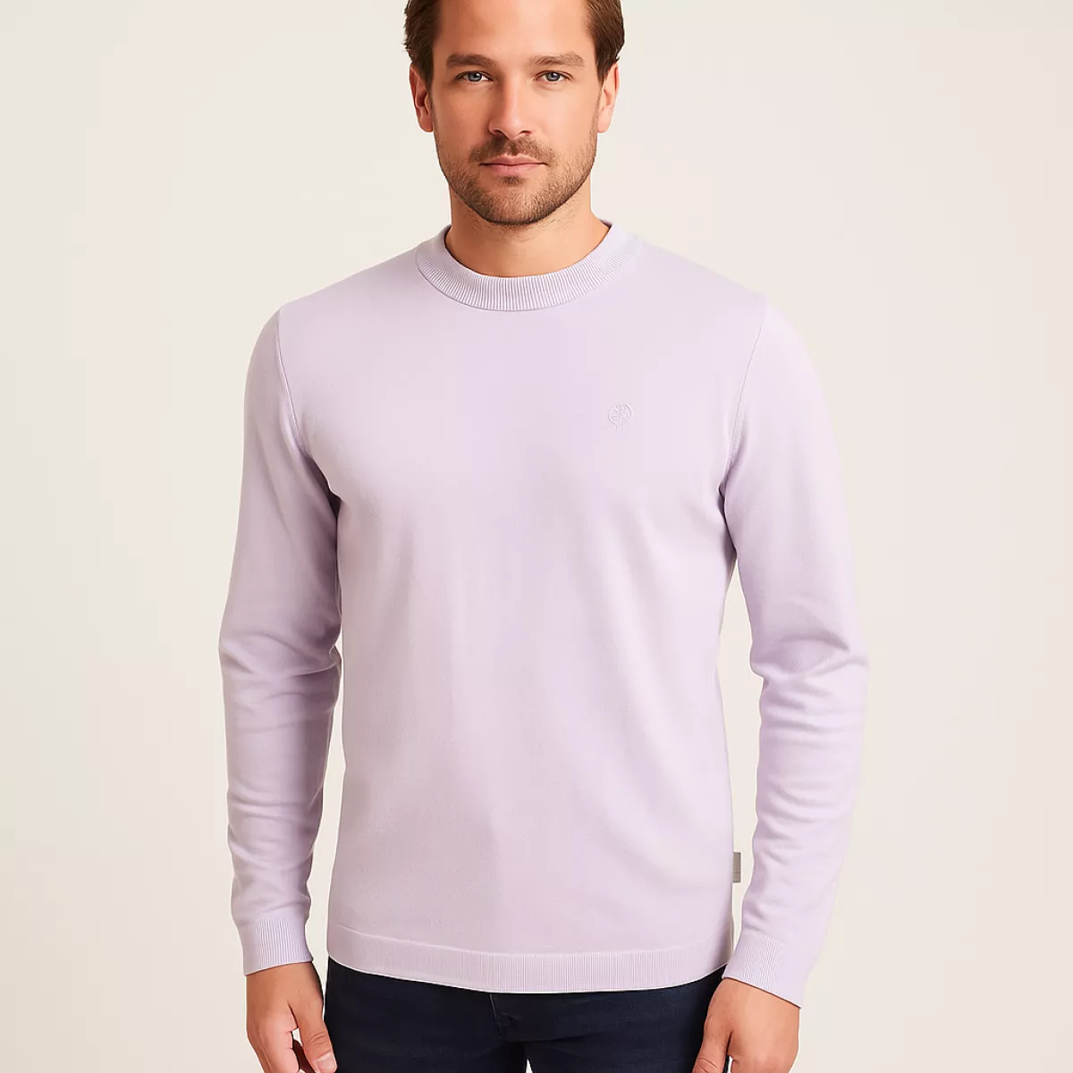 Cast Iron | Crewneck | Paars | CKW2511360 1 Cast Iron Cast Iron | Crewneck | Paars | CKW2511360