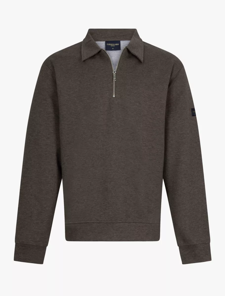 Cavallaro | Polo Sweater | Bruin | Ricavo Polo Sweater 1 Cavallaro Cavallaro | Polo Sweater | Bruin | Ricavo Polo Sweater