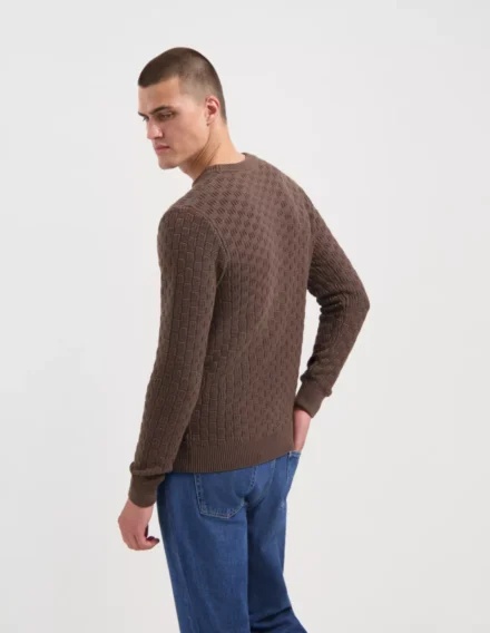 Saint Steve Saint Steve | Barend | Bruin | 240486