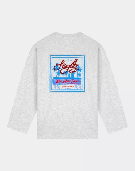 Stieglitz Stieglitz | Longsleeve | Grijs | Itala skate tee wide sleeves