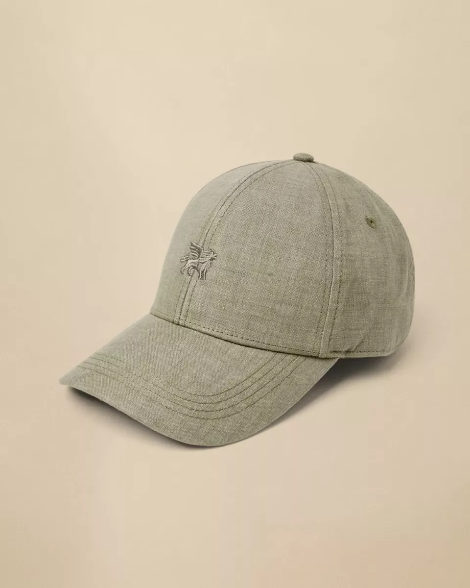 Vanguard | Pet | Groen | VAC2603900 1 Vanguard Vanguard | Pet | Groen | VAC2603900