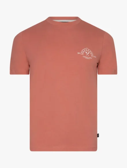 Cavallaro Cavallaro | T-shirt | Roze | 117261035