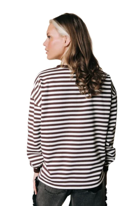 Colourful Rebel Colourful Rebel | Longsleeve | Bruin | Striped wavy logo longsleeve