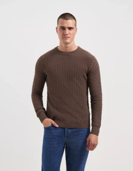 Saint Steve Saint Steve | Barend | Bruin | 240486