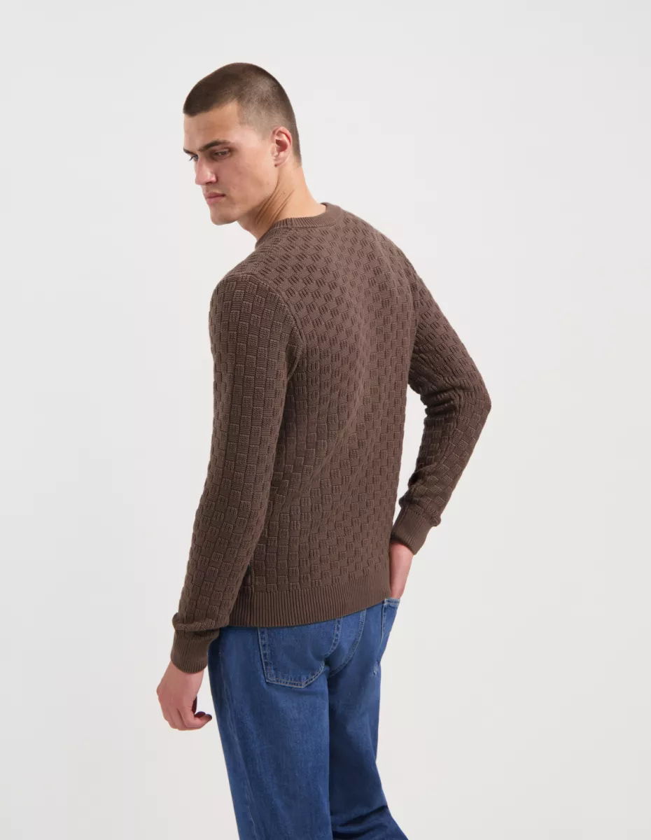Saint Steve | Barend | Bruin | 240486 1 Saint Steve Saint Steve | Barend | Bruin | 240486