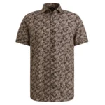 Bruin dessin