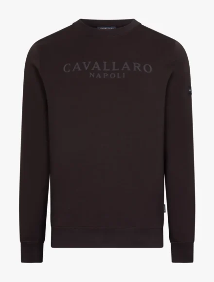 Cavallaro Cavallaro | Trui | Donkerbruin | 120265007 | Sanago Sweater